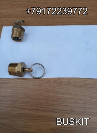 35C03-13040 35CO3-13040 35C0313040 35CO313040 Клапан сброса конденсата, Клапан слива конденсата конусный м-20 для автобусов Хайгер Хагер Higer 35C03-13040 35CO3-13040 35C0313040 35CO313040 Клапан сброса конденсата, Клапан слива конденсата конусный м-20 для автобусов Хайгер Хагер Higer