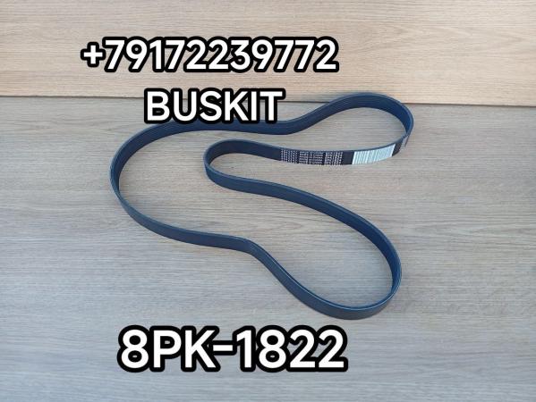 Ремень генератора 8PK1822 8PK1824 4942247 Хайгер Хагер Higer Ютонг Yutong Ремень генератора 8PK1822 8PK1824 4942247 Хайгер Хагер Higer Ютонг Yutong