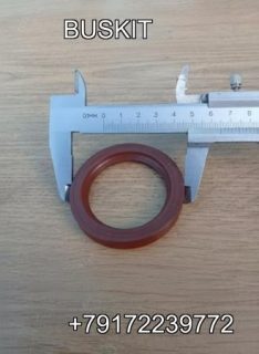 Сальник первичного вала кпп 48х65х10 (48*65*10) Кинг Лонг King Long KINGLONG 6120 0750111149